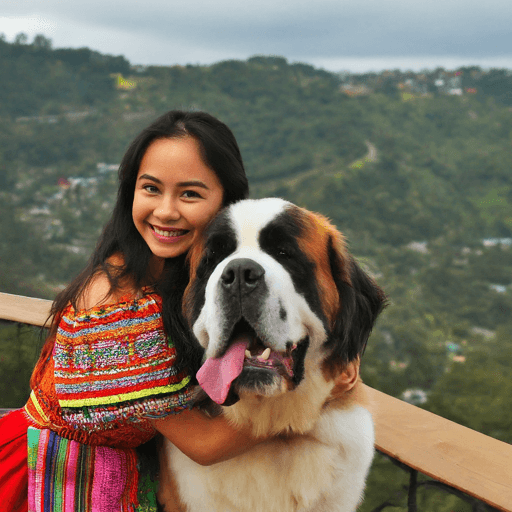 Douglas the St. Bernard dog, a mascotte at mines view park in baguio city, Benguet